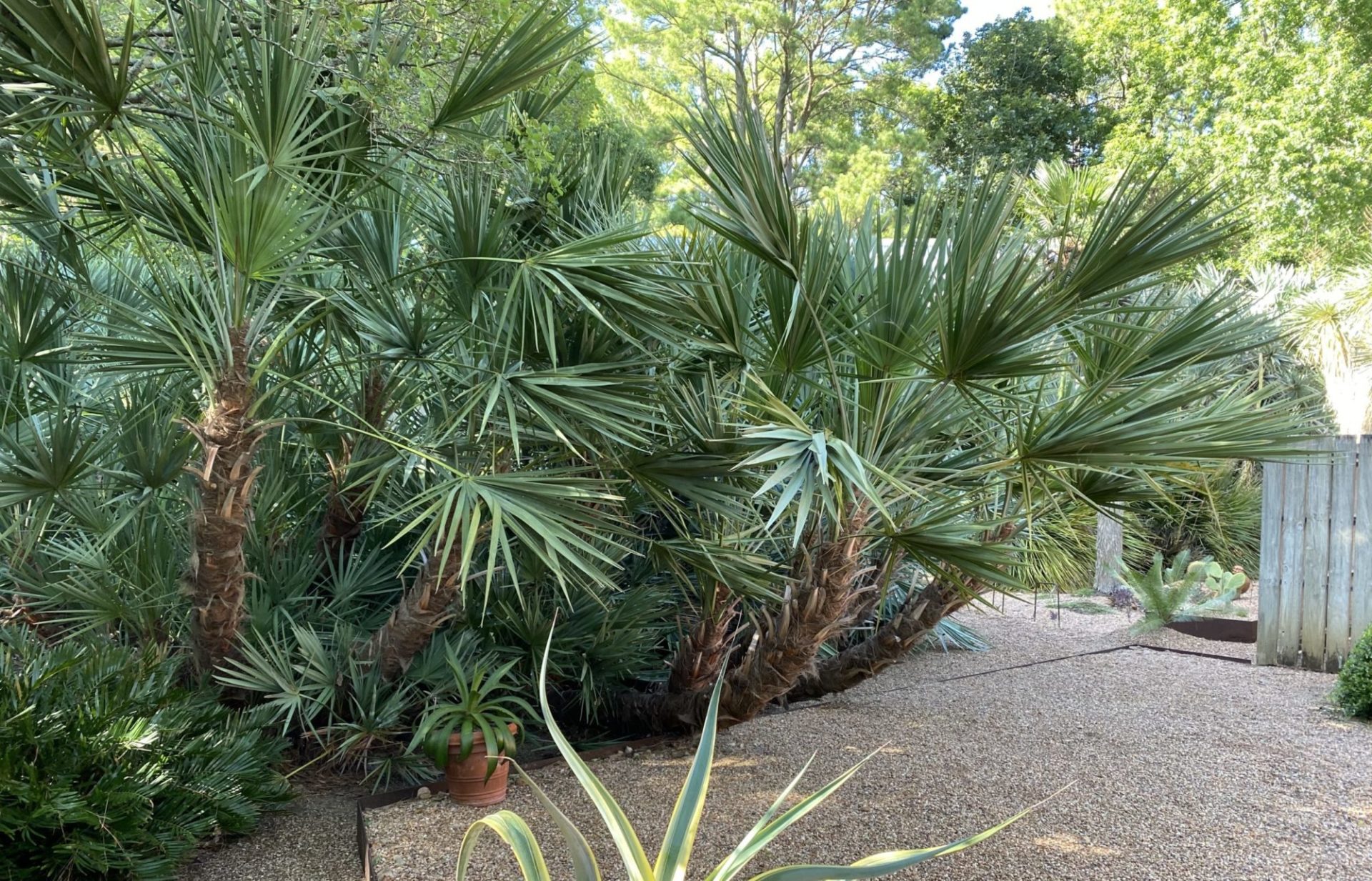 Support at The John Fairey Garden