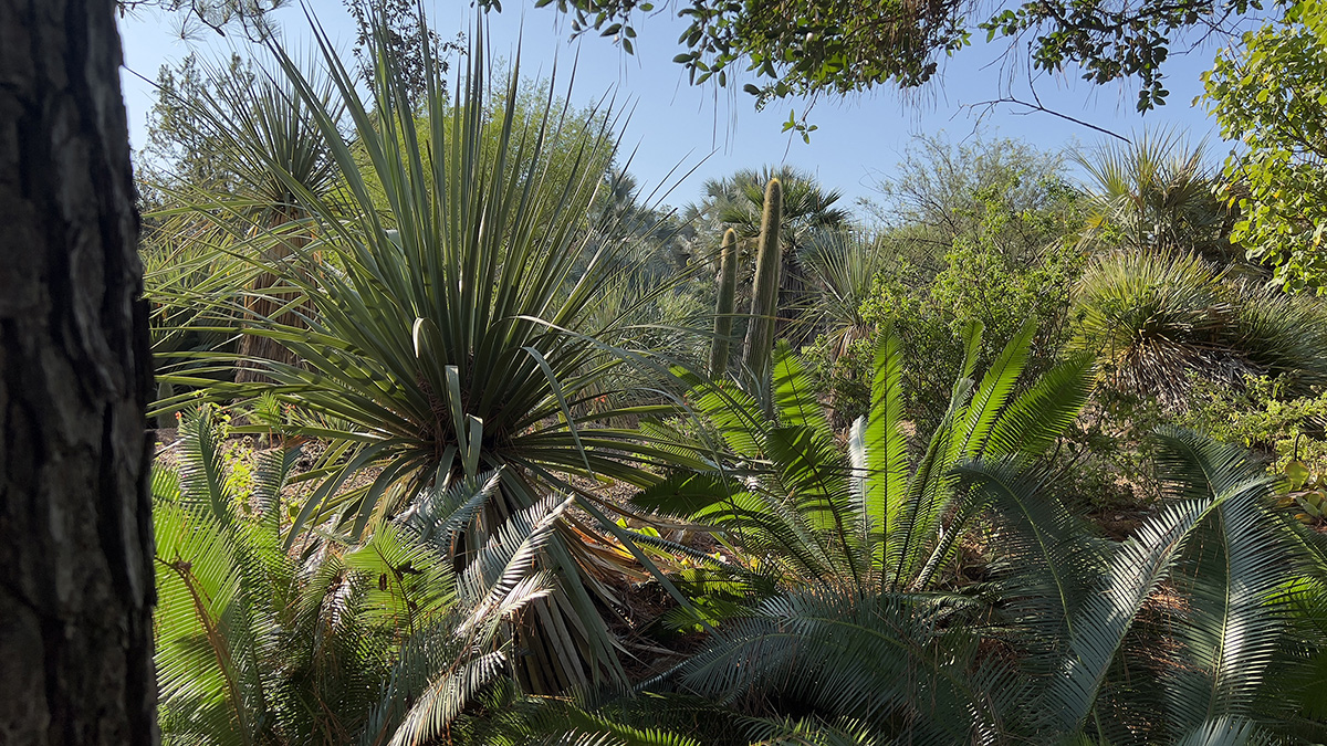The John Fairey Garden in Hempstead, Texas