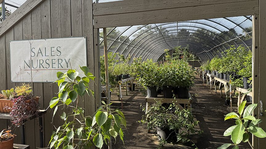 Nursery at The John Fairey Garden